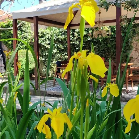 Viento De Ladera Con Piscina Cubierta *