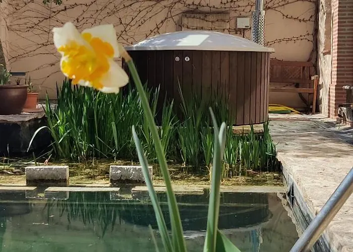 Casa de Campo Casa Rural En Segovia Piscina Cubierta Viento De Ladera *