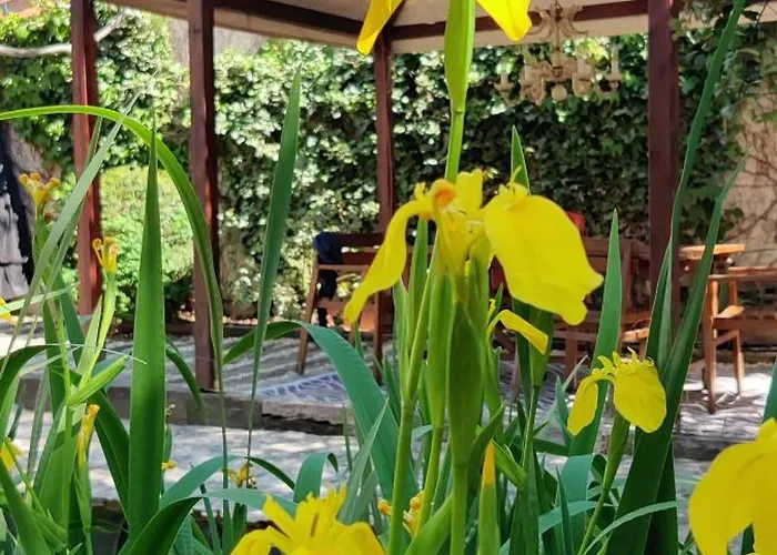 Casa Rural En Segovia Piscina Cubierta Viento De Ladera *